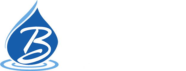 Beauchamp Water Treatment Solutions